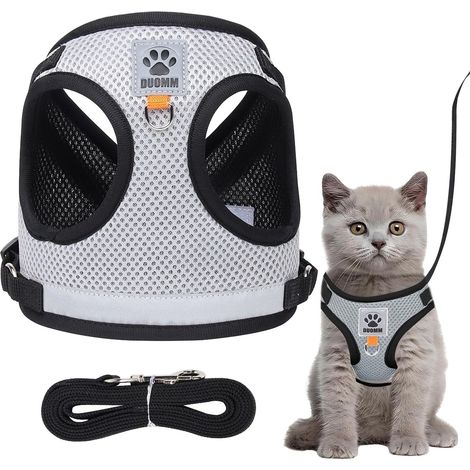 Harnais pour chat et petit chien, gilet de marche réglable avec laisse, harnais respirant anti-traction en maille souple pour animaux de compagnie