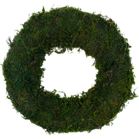 TG51674 Ring Moos Mooskranz Moosunterseite Kranzkreis Moos