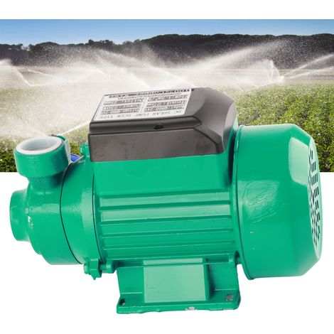 Pompe Solaire DC 230W 24V Portable, Hauteur de Refoulement 25m, Débit Élevé IP44 pour Irrigation Agricole et Fontaines de Pelouse
