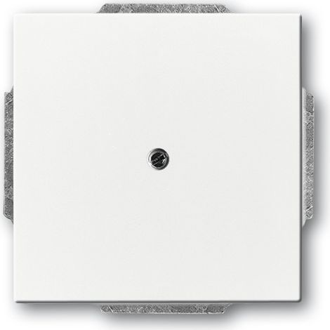 BUSCH-JAEGER 1742-84 ENJOLIVEUR AVEUGLE AVEC BAGUE-SUPPORT (1/4)