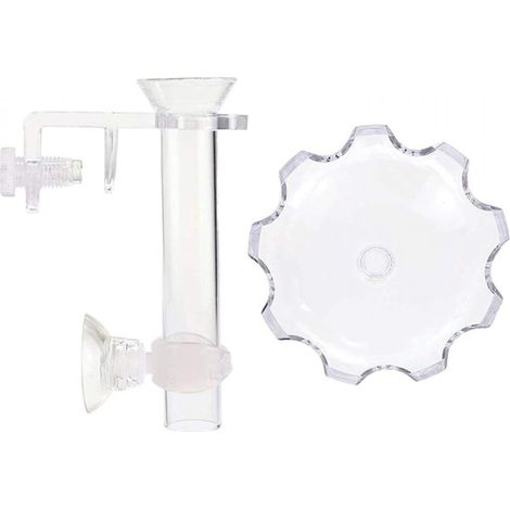 1 Tube et mangeoire pour crevettes, Format mini, Acrylique haute transparence, Distribution précise, Aquarium terrarium (1/5)