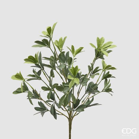 EDG Enzo De Gasperi Pianta Artificiale Schefflera Cespuglio H 49 Cm Green Mix – Pianta Decorativa Realistica Design Moderno
