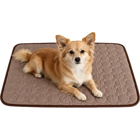 Tapis Rafraîchissant Pour Chien Soie Glacée Lavable Respirant Portable  Tapis De Refroidissement Pour Animaux Lit Canapé Sol Siège Auto Niche, Races Petites Moyennes Et (1/5)