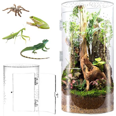 Terrarium Cylindrique en Acrylique pour Reptiles Arboricoles, Grenouilles, Lézards et Insectes, Boîte d'Élevage Transparente à 360° avec Verrouillage Anti-Évasion et Ventilation (1/5)
