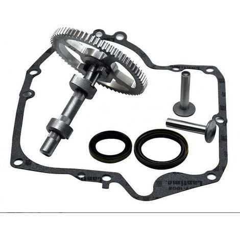 Árbol de levas de repuesto compatible con motores de 4 tiempos con retén de aceite de alta calidad para Briggs & Stratton - KZQ