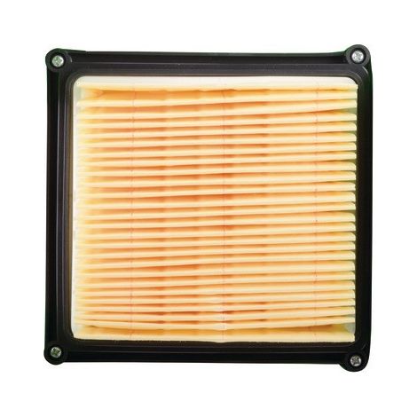 Filtre pour aspirateur FOX - DIFF