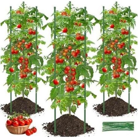 Tuteur Tomate, 3pcs Cage à Tomates Support 130cm Treillis Plante Grimpante Exterieur Obélisque pour Jardin, Piquets de Plantes Frimpantes, Légumes et Fleurs - (1/5)