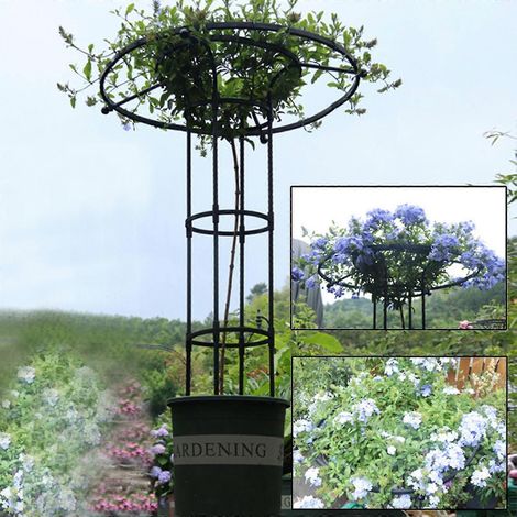 Gartenrankgitter für Kletterpflanzen und Blumen, Metall-Pflanzenrankgitter für den Außenbereich snngv(90cm ) (1/3)