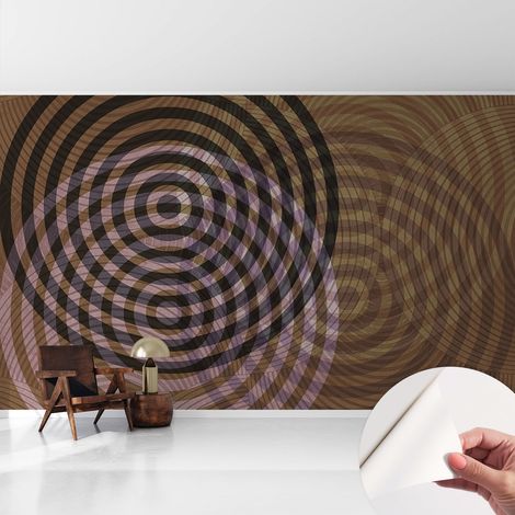 Fotomurale adesivo stickers - murali decorativo - soggiorno moderno - effetto realistico - Cerchi ipnotici 416x254 cm (1/5)