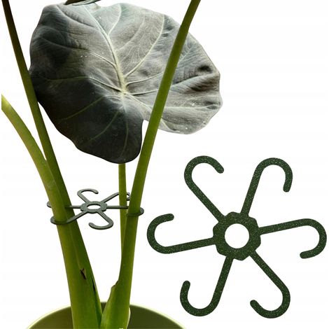Supporto per piante e fiori Supporto con forte impugnatura S 10 cm (1/5)