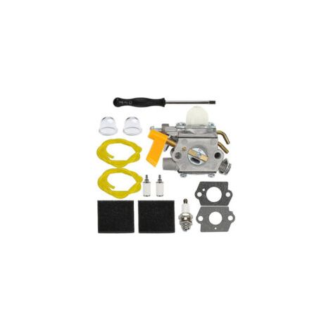 Carburateur S-giant compatible avec C1U-H60 (308054003307450498562400125cc26cc).