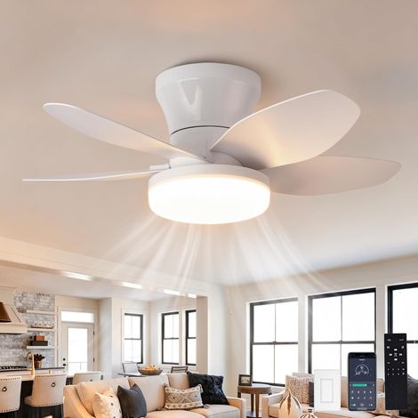 Ventilateur de plafond 63,5 cm avec éclairage et télécommande, moteur CC Ventilateur de plafond réversible à 6 vitesses avec lampe LED, intensité variable, minuterie et fonctionnement silencieux pour (1/5)