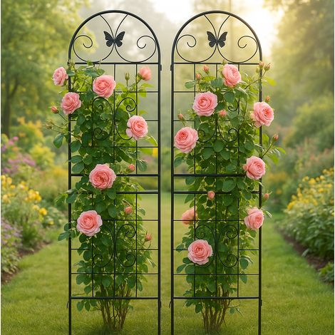 Traliccio da giardino 50x180 cm in metallo nero, facile da montare per rampicanti FloraGrace (1/5)