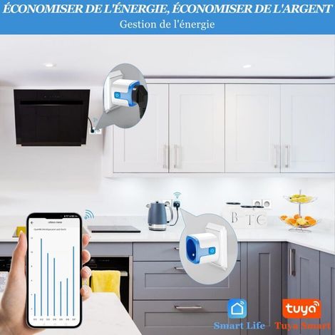 Prise connectée WiFi intelligente 16A – Programmateur électrique avec minuterie – Compatible Alexa et Google Assistant – Application Tuya/Smart Life