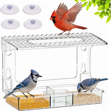 Mangeoire à Oiseaux pour Fenêtre avec Ventouses Puissantes et Plateau Amovible (1/5)