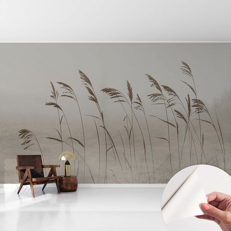 Tapete adhésive moderne pour salon et chambre à coucher Décoration rapide avec colle Herbes dans la brume 416x254 cm (1/5)