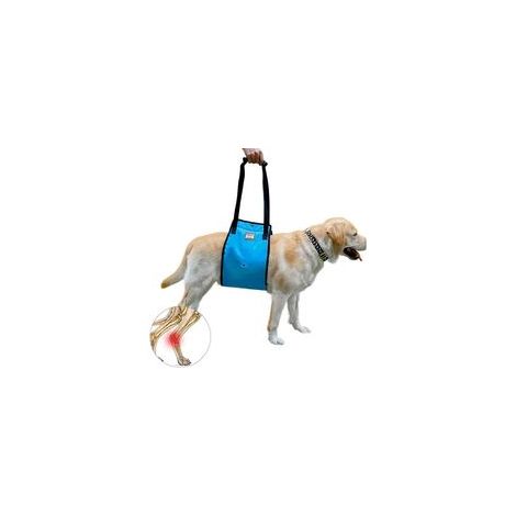 Harnais de soutien et levage pour chien âgé ou blessé, taille L – (1/5)