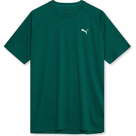 Puma Trainings-T-Shirt für Herren, grün, 68952121 r L (1/2)