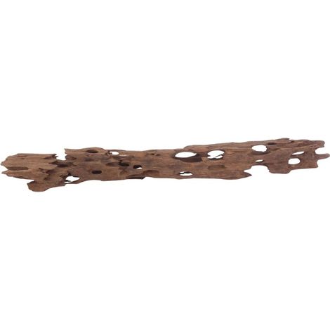 XL Honey Comb Wurzel Nr.3060 Holz Deko Aquascaping