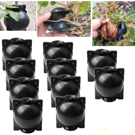 Dispositif d'enracinement des plantes, boîte de greffage d'ampoules de propagation à haute pression, boîte de croissance des plantes, S-5CM, 10 pièces (1/5)