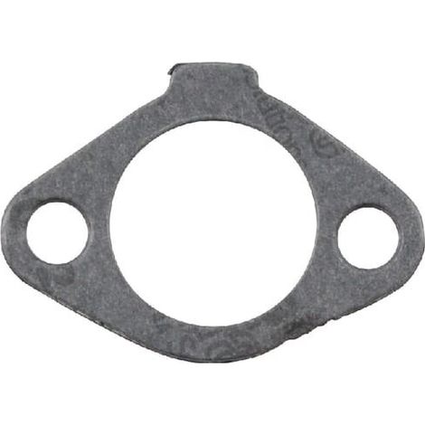 Junta del carburador KOHLER 5204109S