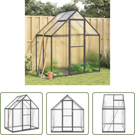 vidaXL Serre de jardin - Serre avec cadre de base anthracite 169x114x195 cm aluminium (1/5)