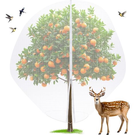 Filet de Protection pour Arbres Fruitiers 3x3m Filet Anti-Oiseaux et Insectes avec Fermeture Éclair (1/5)