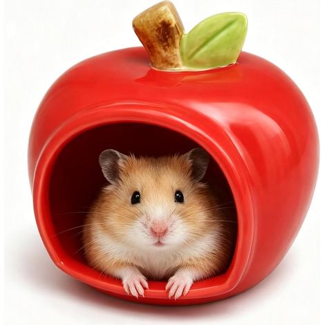 Céramiques Pomme Rouge Maison Hamster pour Nains Gerbilles (1/5)