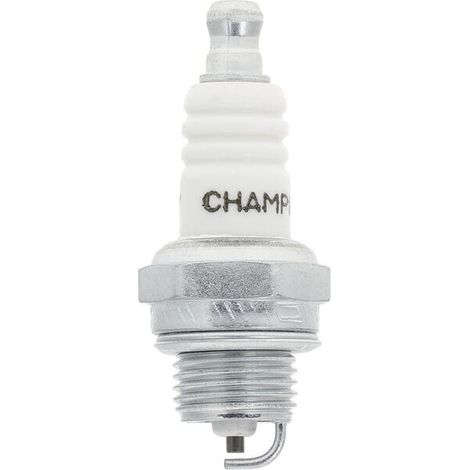 Candela Champion (24 St.) CHAMPION RCJ7YW24 (1/2)