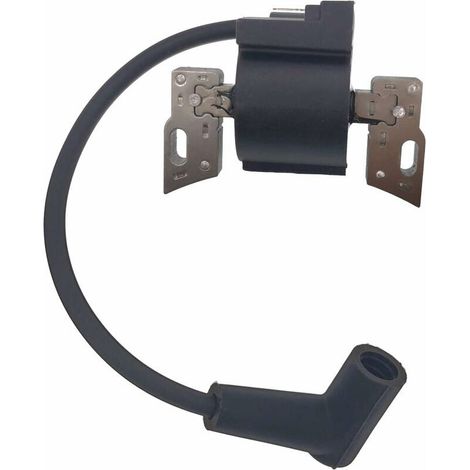 royaluxe -Bobine d'allumage pour Briggs Stratton 798534 593872 799582 (1/5)