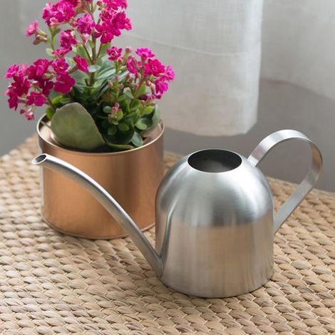 1 arrosoir 500 ml, bec long en acier inoxydable, arrosoir pour plantes d’intérieur et d’extérieur, jardin et fleurs (1/4)