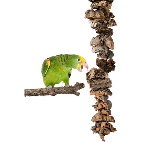 BioChews Golosina masticable de corteza de roble y corcho natural para loros XL (1/5)