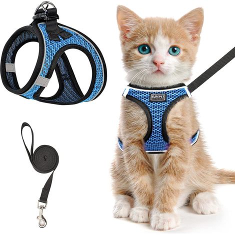 Katzengeschirr für Spaziergänge und Freizeit, ausbruchsicher, verstellbares Katzengeschirr, weiches, reflektierendes Netz-Welpengeschirr für den Außenbereich, bequeme Passform, einfach zu bedienen (bl