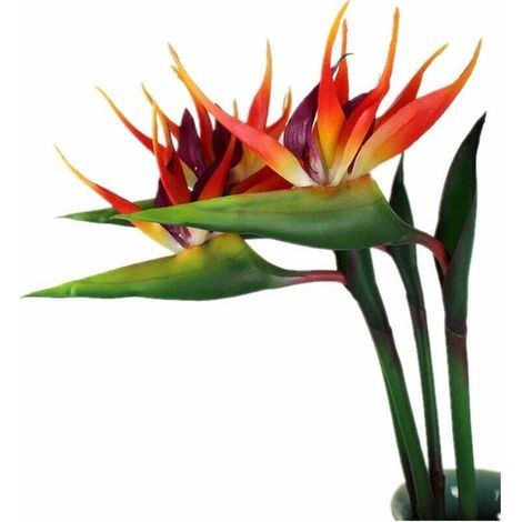 Juego de 3 grandes aves del paraíso de 81,3 cm, flores artificiales resistentes a los rayos UV, ideales para la decoración del hogar y la oficina - KZQ