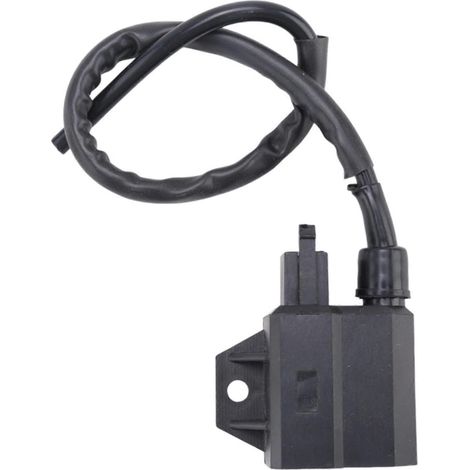 Bobine d&39allumage CDI neuve pour quad LT80 80 QUADSPORT 1987-2001 33410-40B00 (1/5)