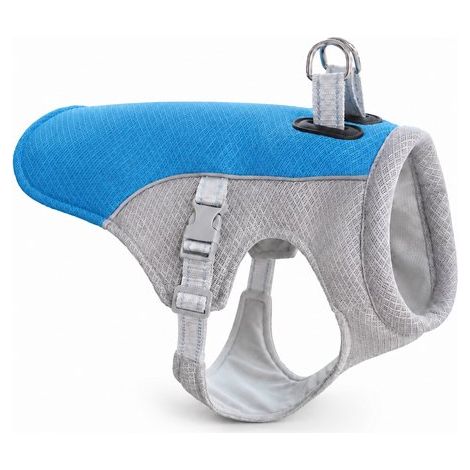 Gilet rafraîchissant pour chien - 25 x 18 x 4 cm - Taille L - Gilet rafraîchissant pour bouledogues français et carlins - Harnais rafraîchissant avec protection UV UPF 50+ - Vêtement respirant pour ch (1/5)