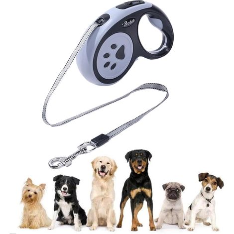 Laisses Chien Enrouleur,Laisse Chien Rétractable,Laisse pour Chiens 5 Mètres avec Poignée,Longe pour Chiots Extensible,Mousqueton Laisses Chiens,Bande Flexible Chat et Chiot Plate Extensible (1/5)