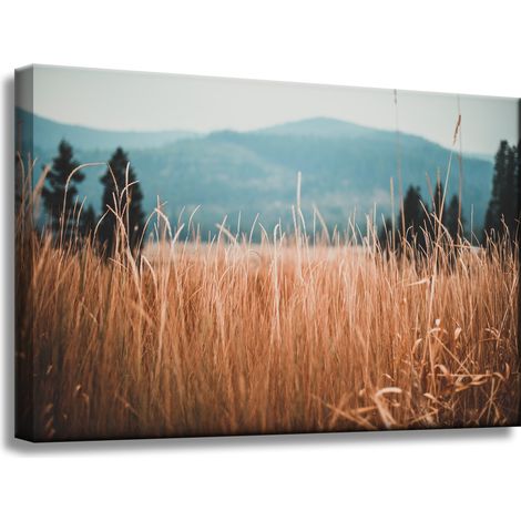 Leinwandgemälde Natur Grashalme 60x40 cm Berge