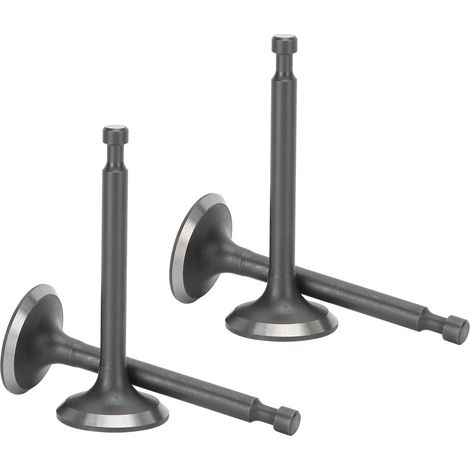 Kit de 2 soupapes d'admission et d'échappement pour culasse 168F, pièces pour générateur à essence GX160/GX200 2-2,5 kW (1/5)