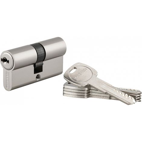 Cilindro europeo Trafic 6 da 60 mm con camma ridotta, 5 chiavi – THIRARD (1/3)