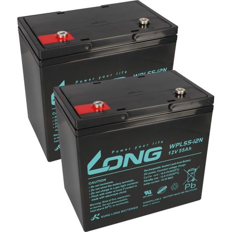 Ersatzakku für Proflex VR350F und VR 350S 2x 12V (24V) 55Ah Zyklenfest AGM Long (1/5)