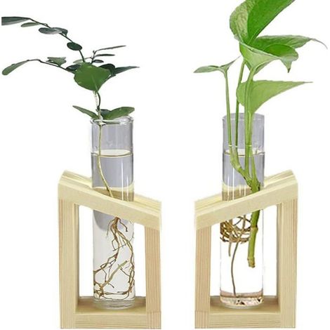 Vase Hydroponique - Tube à Essai en Verre avec Support en Bois - Pour Propagation de Plantes et Décoration Intérieure - Lot de 2 (1/4)
