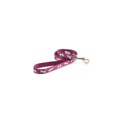 An Lead Purple Bone 1m - 647904