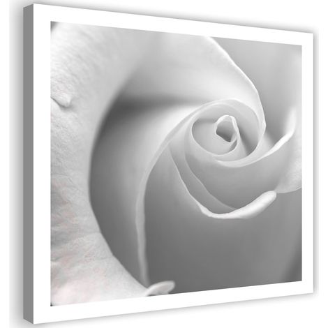 Tableau sur toile Rose blanche Macro 40x40 (1/5)