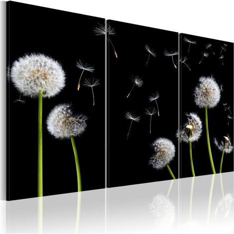 Quadro - Denti di leone - 120x80 (1/4)