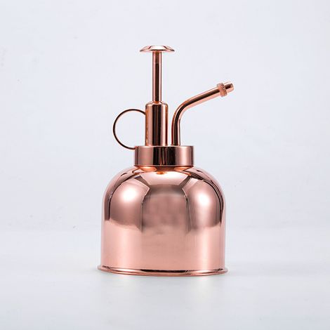 Vaporisateur pour plantes 300 ml en acier inoxydable, idéal pour les plantes d'intérieur, les succulentes et les bonsaïs. Accessoires de jardinage argentés. (1/5)