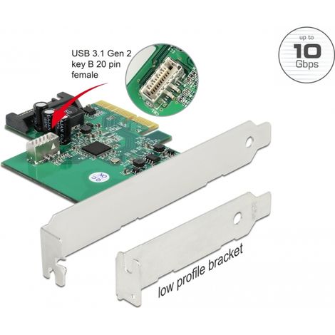 Delock Tarjeta PCI Express a 1 x interno USB 3.2 Gen 2 clave B hembra de 20 pines