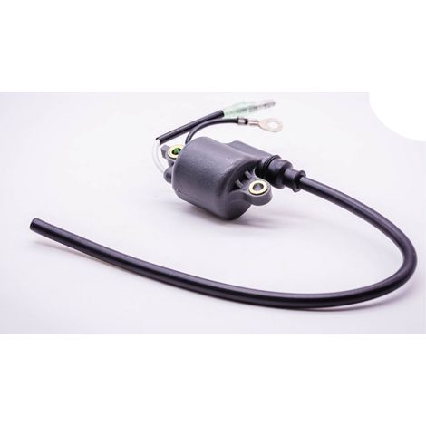 Bobine d'allumage pour débroussailleuse PB-400E, PB-410, PB-411 - Compatible 15662602111 (1/4)