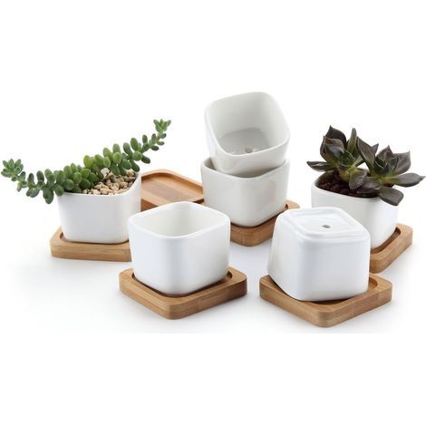Lot de 6 pots succulents en céramique hexagonale avec plateau en bambou blanc, pot de cache pot de cactus (1/3)