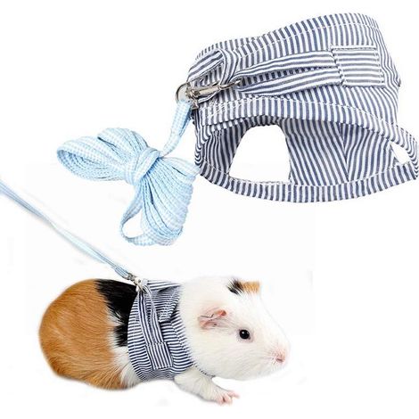 Harnais de sécurité pour cochons d'Inde, laisse et corde pour le dressage ou la promenade des petits animaux (1/4)